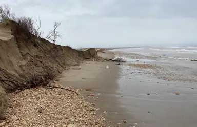 Emergencia: Recuperación de Espacios Naturales en el Delta del Ebro 