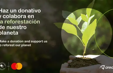 Colabora en la reforestación de nuestro planeta