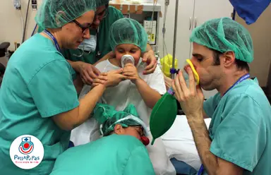 Visitas a niños y niñas hospitalizados 