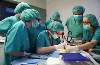 Apadrina un joven investigador