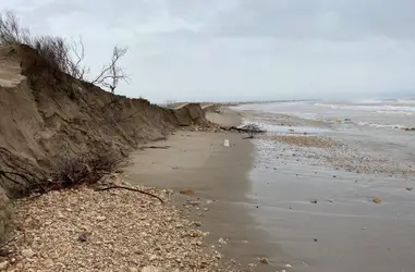 Emergencia: Recuperación de Espacios Naturales en el Delta del Ebro 