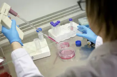 Apoyo a la Unidad de Ensayos Clínicos de Lleida