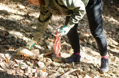 Recogida de residuos en bosques y playas de Cataluña