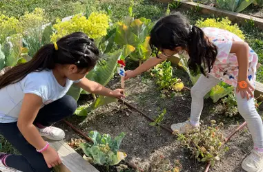 Educación ambiental en la infancia