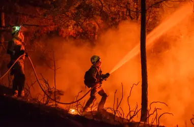 Bombero con una manguera apagando un incendio forestal