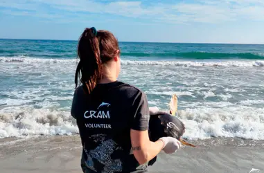 Rescate y asistencia a fauna marina