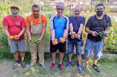 Huertos terapéuticos para pacientes de salud mental