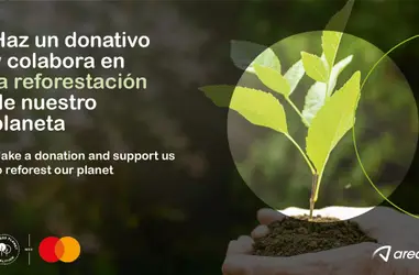 Colabora en la reforestación de nuestro planeta