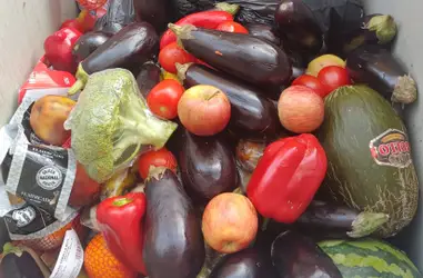 Por un mundo sin hambre, pongamos fin al desperdicio alimentario