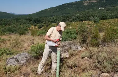 Conservación de nuestros bosques