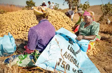 Semillas de futuro: Luchando contra el hambre en el altiplano de Angola