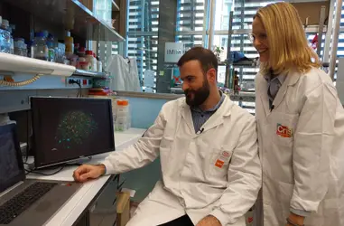 Investigación sobre el cáncer de colon