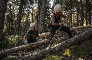 Personas y bosques: conservación de los bosques de montaña del Pirineo