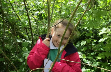 Educación ambiental en las escuelas