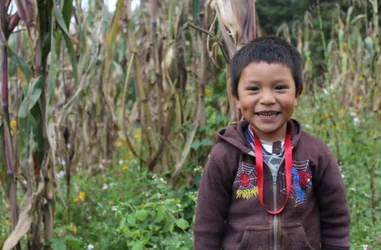 Leche fortificada contra la anemia infantil