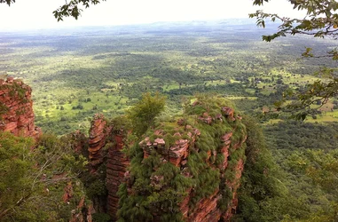 Protección de los chimpancés y la biodiversidad en Senegal