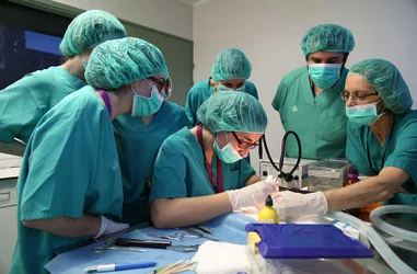 Apadrina un joven investigador