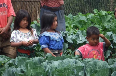 Kits Huerto para una alimentación sana y de calidad