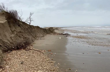 Emergencia: Recuperación de Espacios Naturales en el Delta del Ebro 