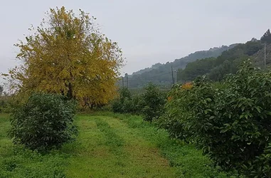 Conservación de la biodiversidad