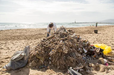 Limpieza de plástico en las playas