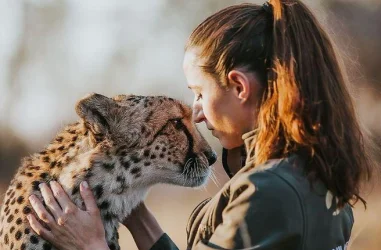 Conservación e investigación de fauna salvaje en peligro de extinción