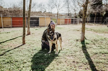 Rescate de animales maltrados, acogida y rehabilitación emocional en el refugio 