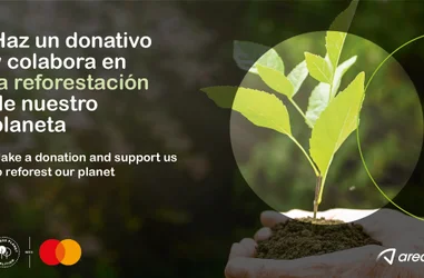 Colabora en la reforestación de nuestro planeta