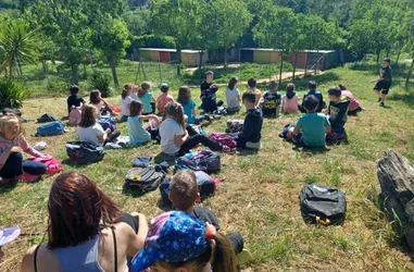 Educación escolar para la protección de los animales