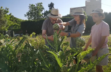 Nuevas terapias asistenciales especializadas para personas con discapacidad y necesidades de apoyo