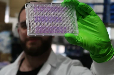 Investigación científica para frenar el coronavirus