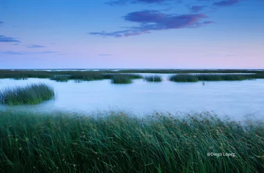 Restauración de ríos y humedales 