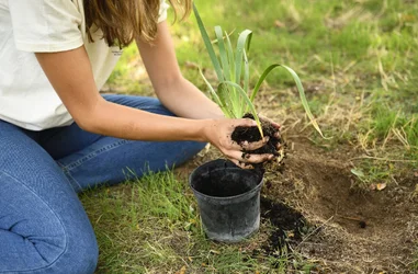 ¡Honra al Amazonas!