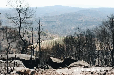 Ayúdanos a rebrotar