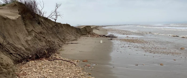 Emergencia: Recuperación de Espacios Naturales en el Delta del Ebro 