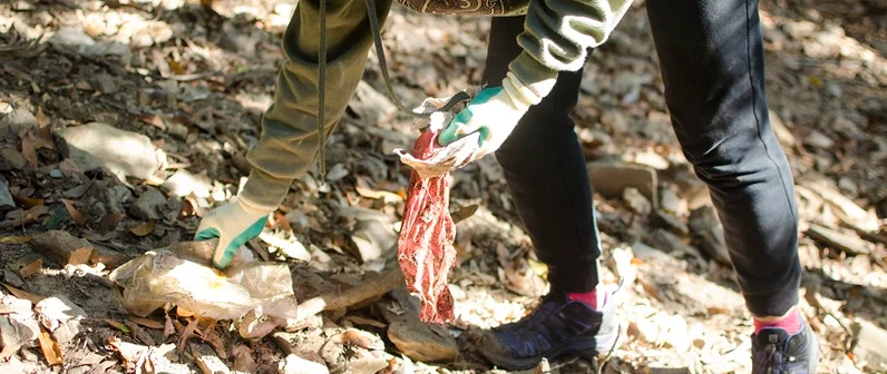 Recogida de residuos en bosques y playas de Cataluña