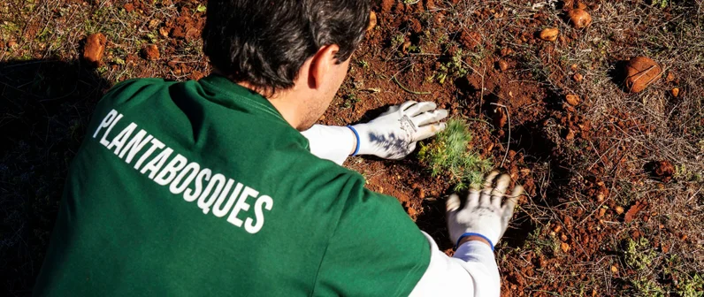 Mejora de la biodiversidad del territorio mediante la reforestación