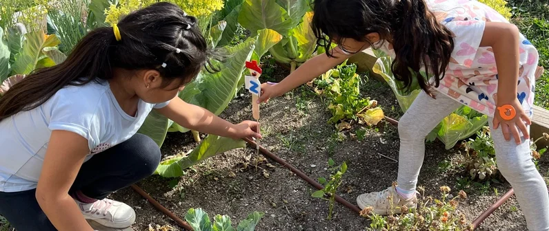 Educación ambiental en la infancia