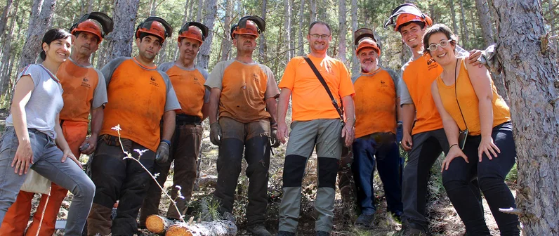 Prevención de incendios forestales