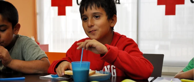 Ayuda a la alimentación de los hogares