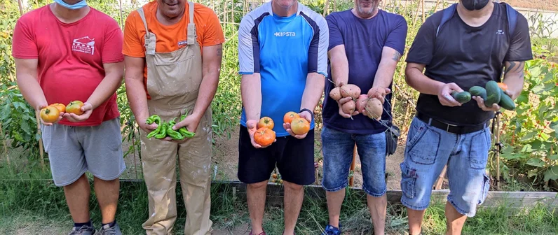 Huertos terapéuticos para pacientes de salud mental