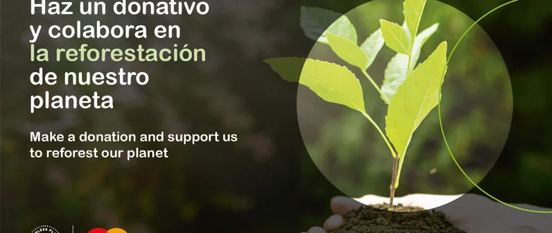 Colabora en la reforestación de nuestro planeta