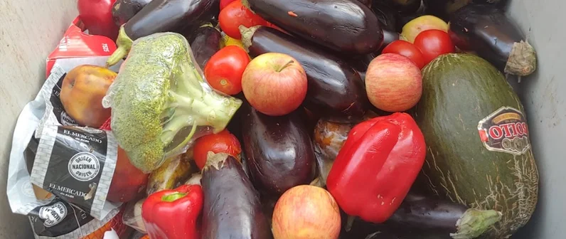 Por un mundo sin hambre, pongamos fin al desperdicio alimentario
