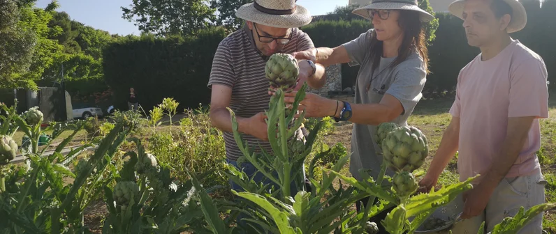 Nuevas terapias asistenciales especializadas para personas con discapacidad y necesidades de apoyo