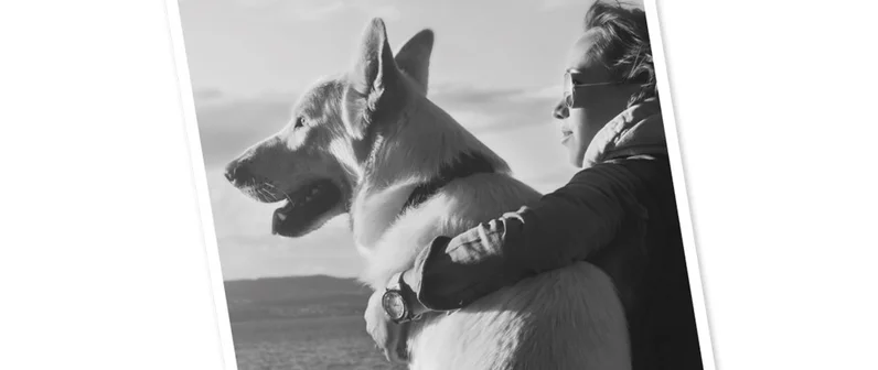 PROTECCIÓN DEL MEDIO AMBIENTE Y LOS ANIMALES SIN HOGAR