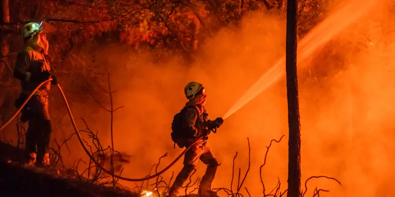Bombero con una manguera apagando un incendio forestal