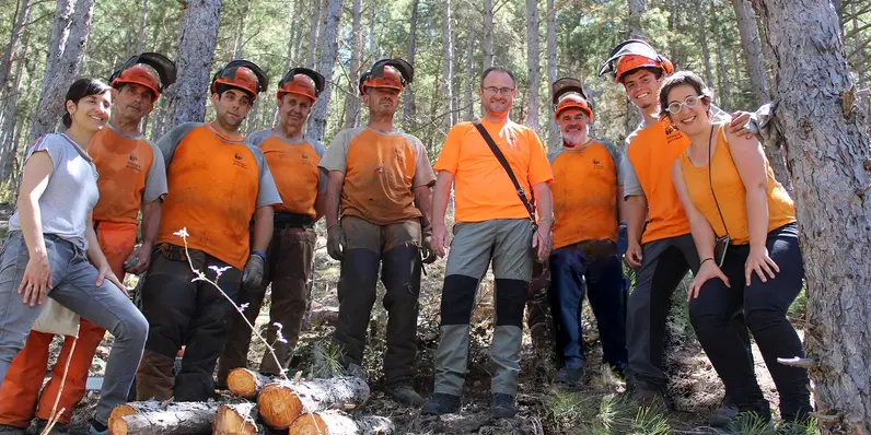 Prevención de incendios forestales