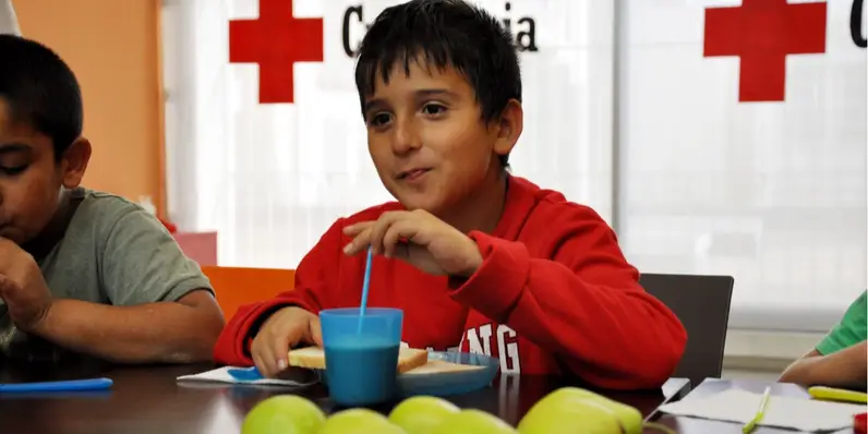 Ayuda a la alimentación de los hogares