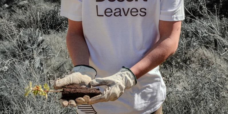 Restauración del ecosistema de Alto Mijares 