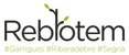 Rebrotem
